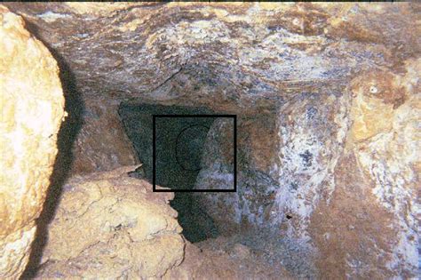 what happened to ted the caver.